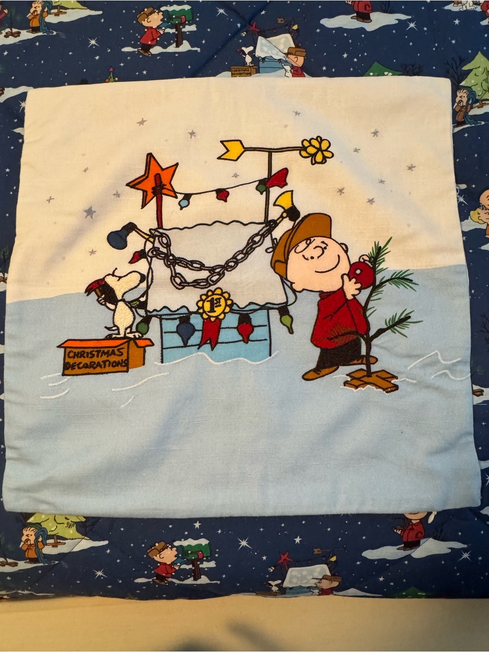 Pottery Barn Peanuts Charlie Brown Holiday Pillow Cover - Light Blue & White